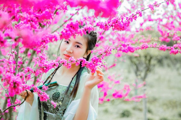 茶香四溢，武汉别墅里的隐秘品茗地盘点